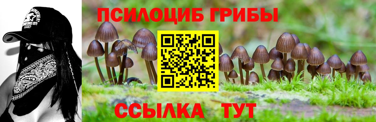 купить наркотики цена  Псилоцибиновые грибы ЛСД  Вход с VPN  Узловая 